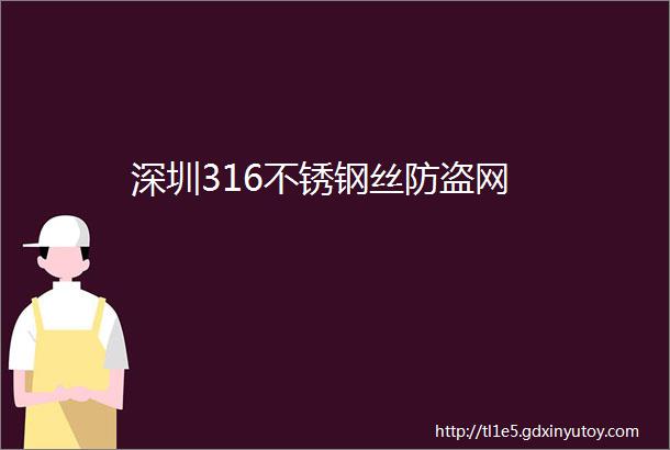 深圳316不锈钢丝防盗网