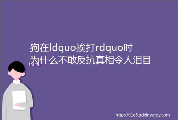 狗在ldquo挨打rdquo时为什么不敢反抗真相令人泪目